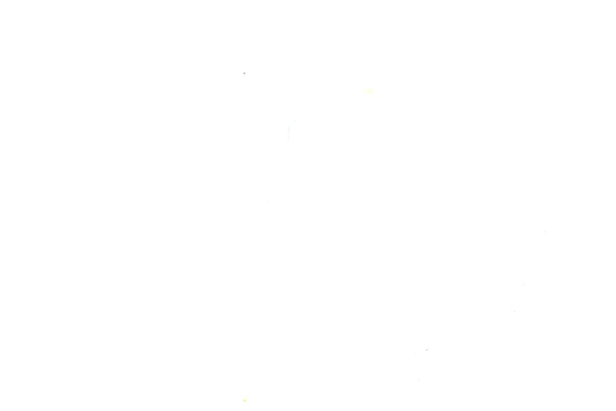 Image 30
